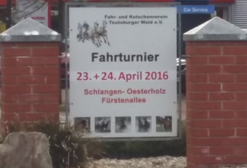Fahrturnier in Schlangen-Oesterholz