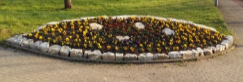 Blumenschmuck in Schlangen am Kreisel