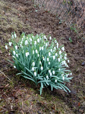 März aktuell